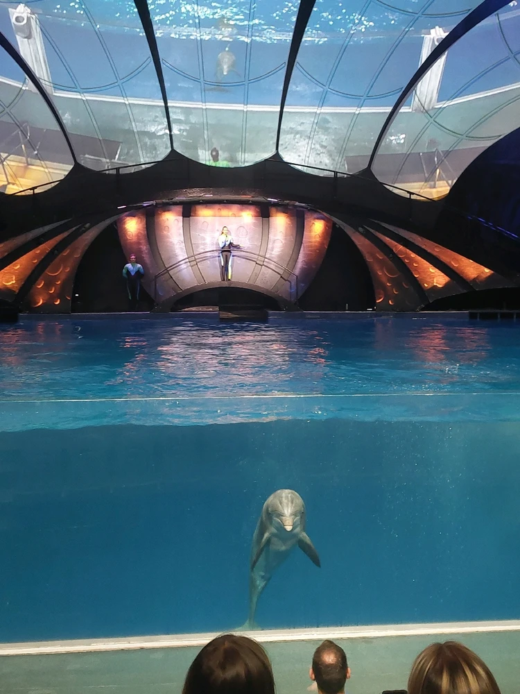 GIF uploaded by Jonathan