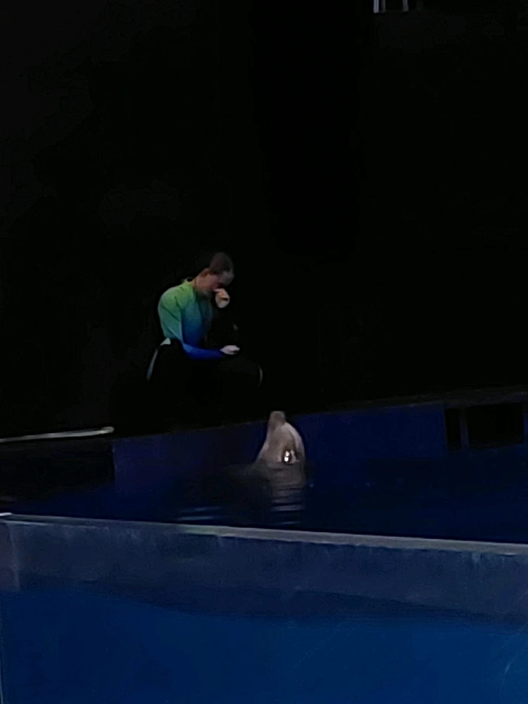 GIF uploaded by Jonathan