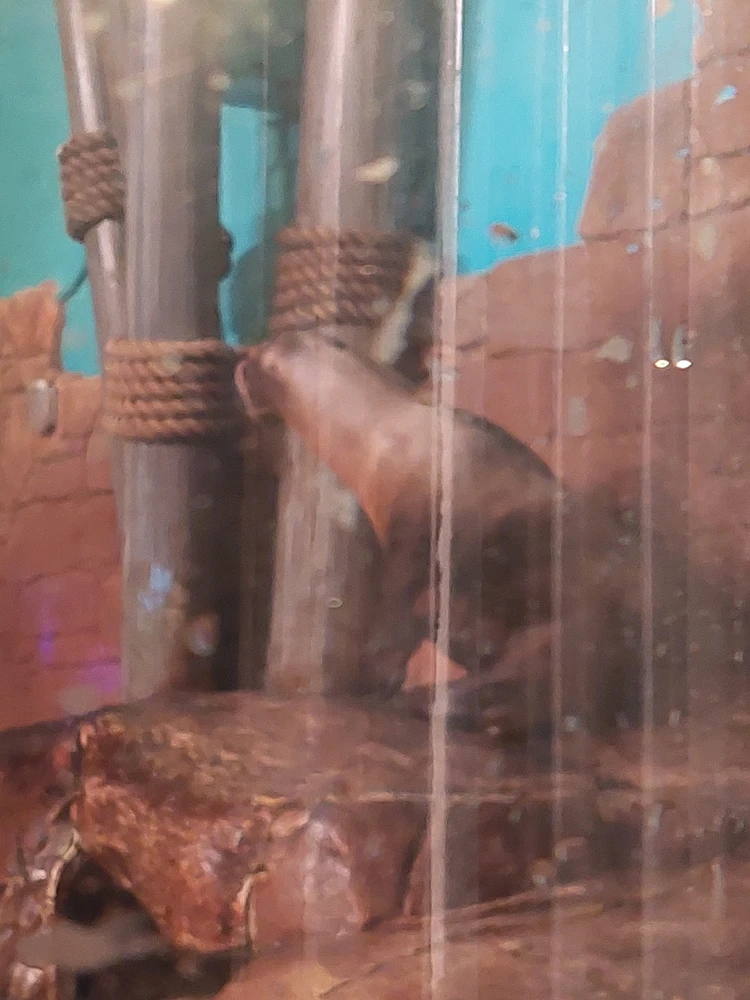 GIF uploaded by Jonathan