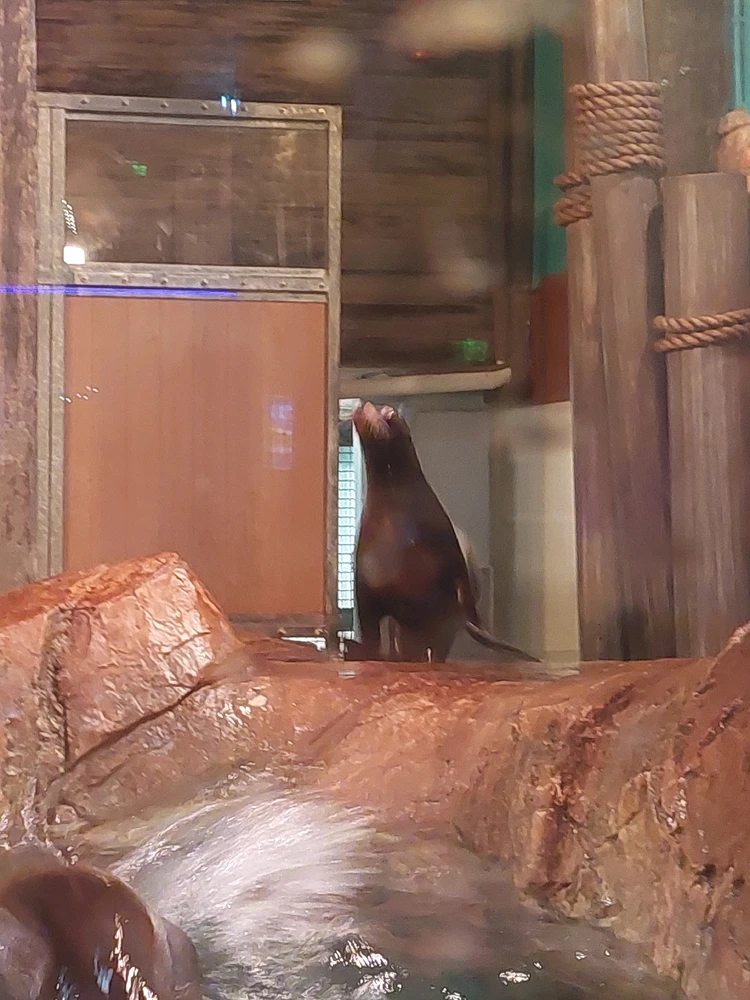 GIF uploaded by Jonathan