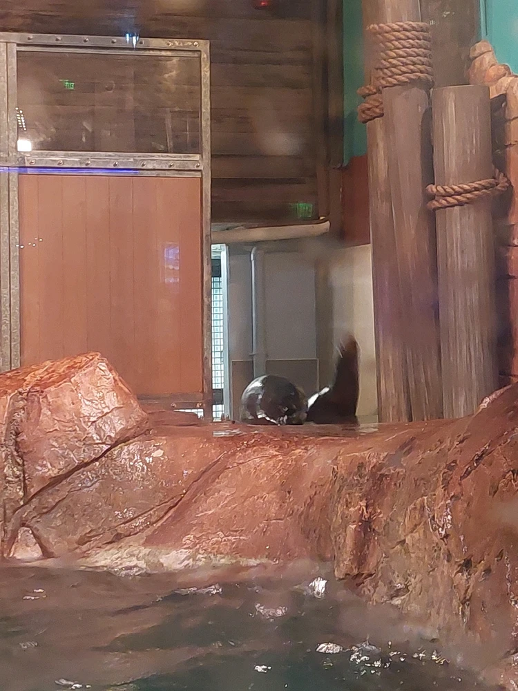 GIF uploaded by Jonathan