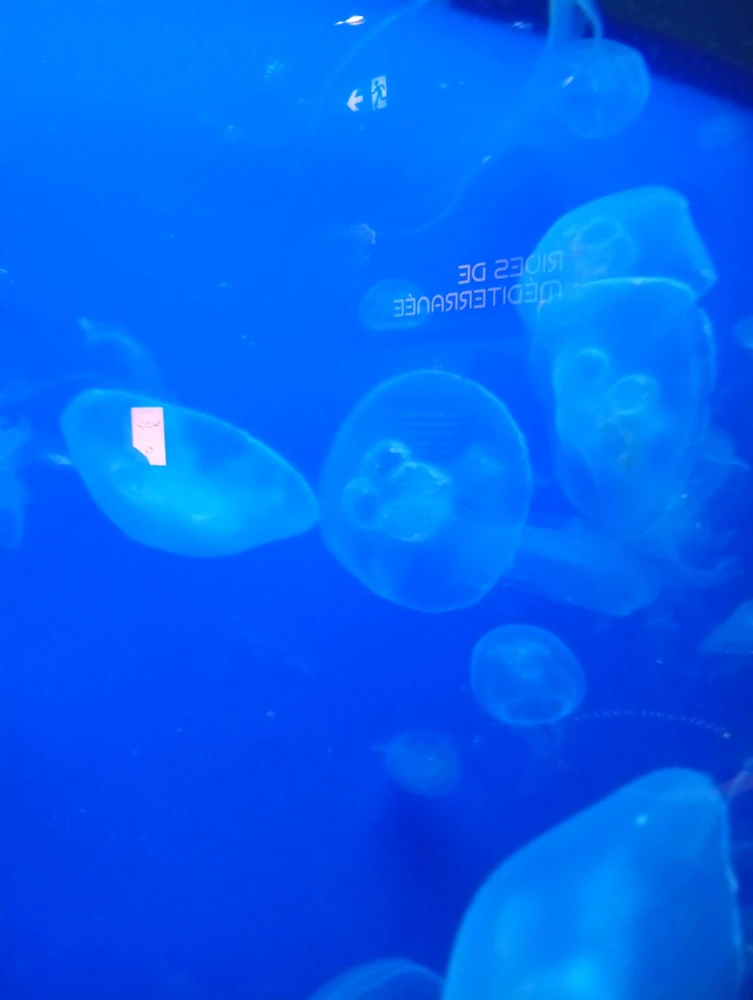 Image ajoutée par Ꭻລԁ𝙚