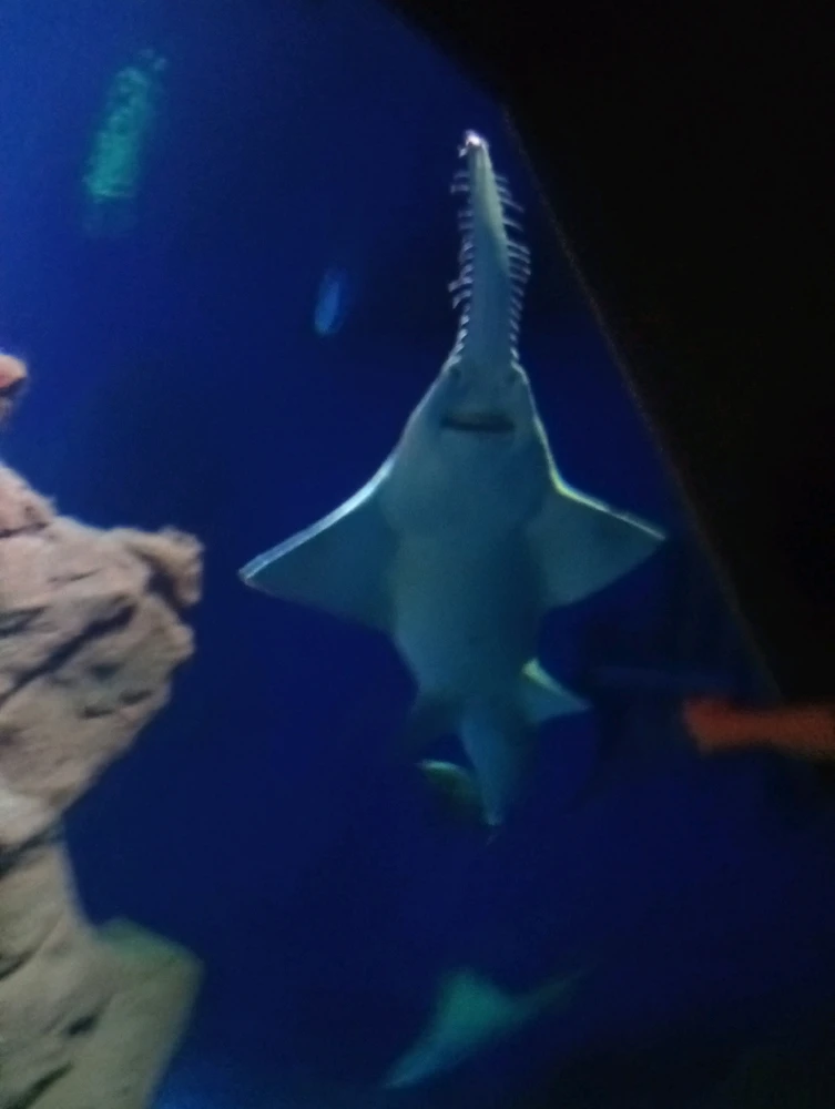 Image ajoutée par Ꭻລԁ𝙚