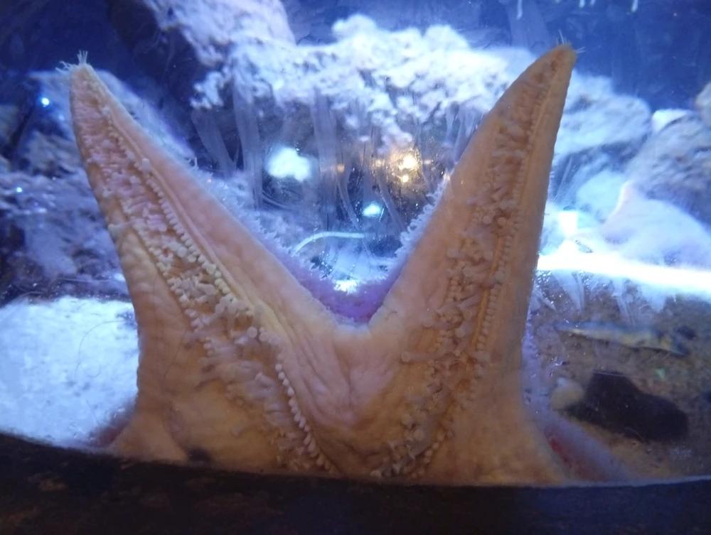 Image ajoutée par Ꭻລԁ𝙚