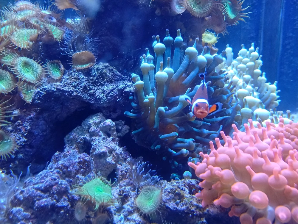 Image ajoutée par Ꭻລԁ𝙚