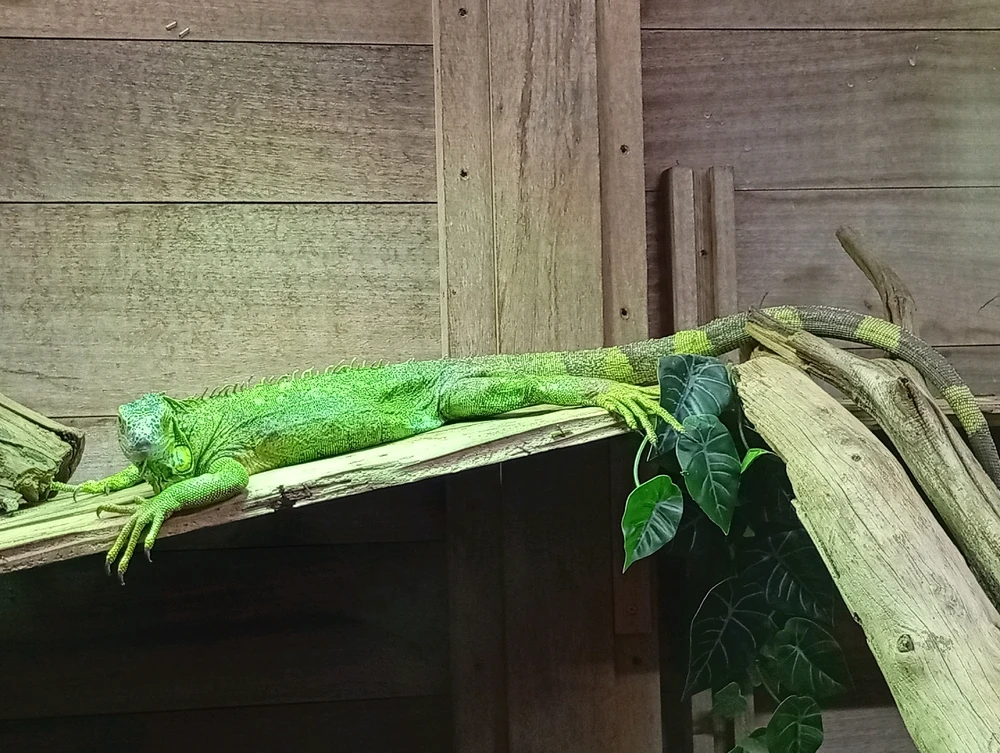 Image ajoutée par Ꭻລԁ𝙚