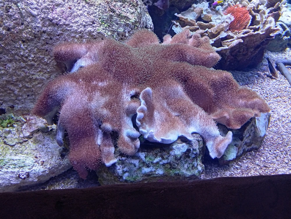 Image ajoutée par Ꭻລԁ𝙚