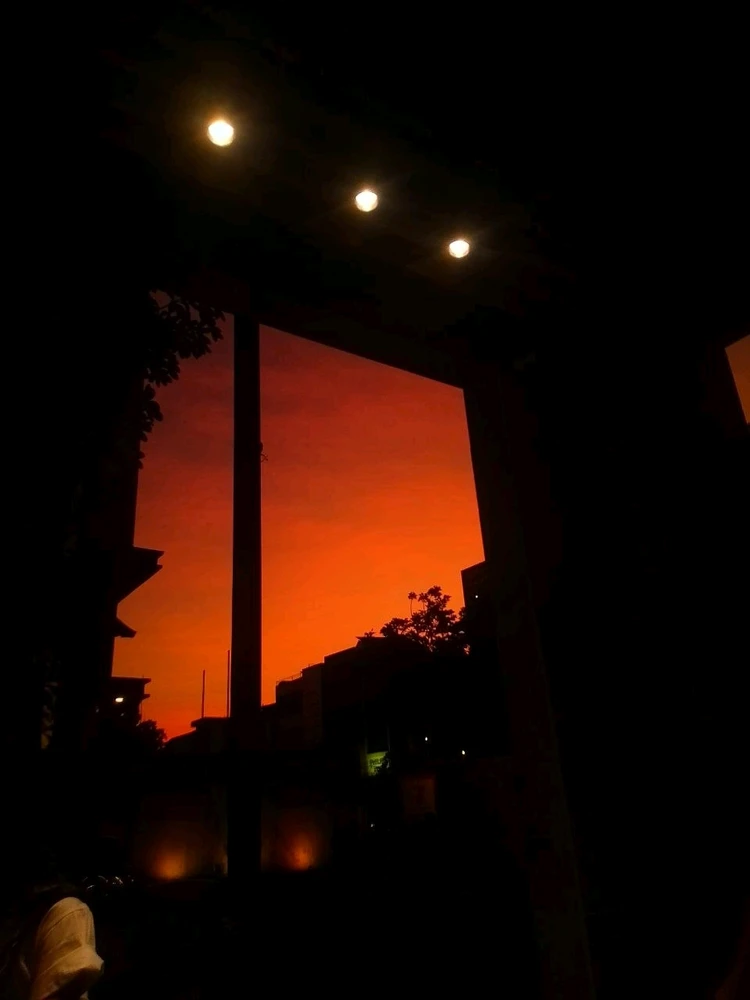 GIF diunggah oleh Will