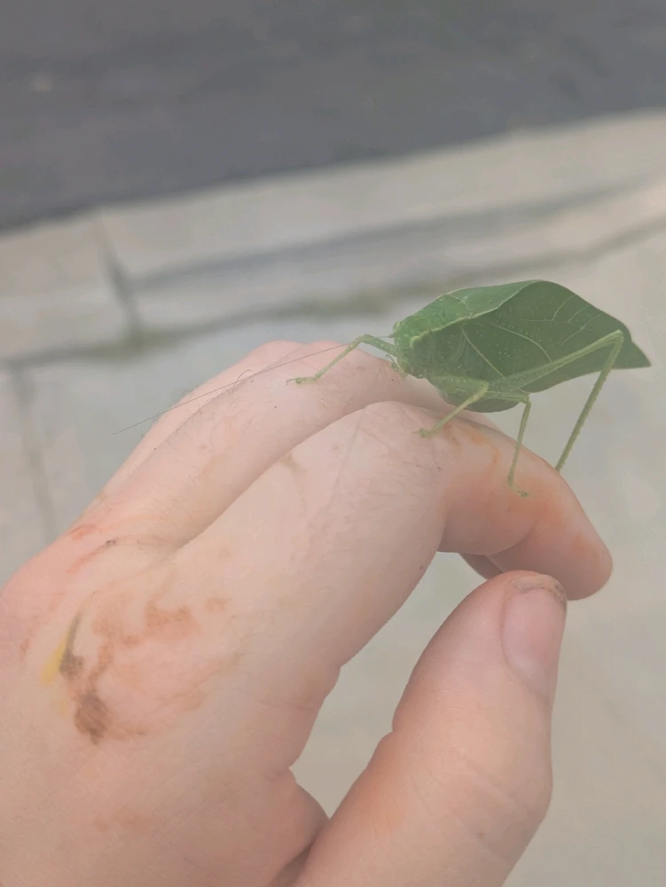 Image uploaded by Bella/ dawn naylor