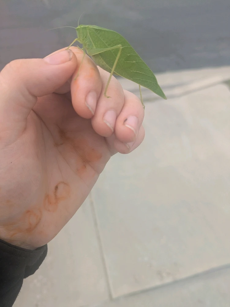 Image uploaded by Bella/ dawn naylor