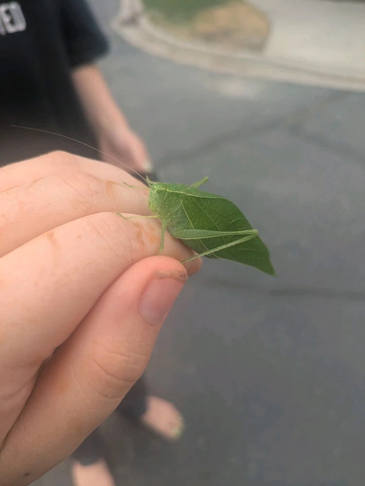 Image uploaded by Bella/ dawn naylor