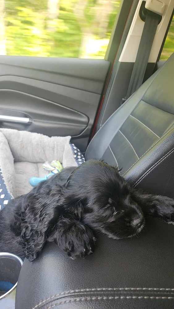 GIF uploaded by Celine