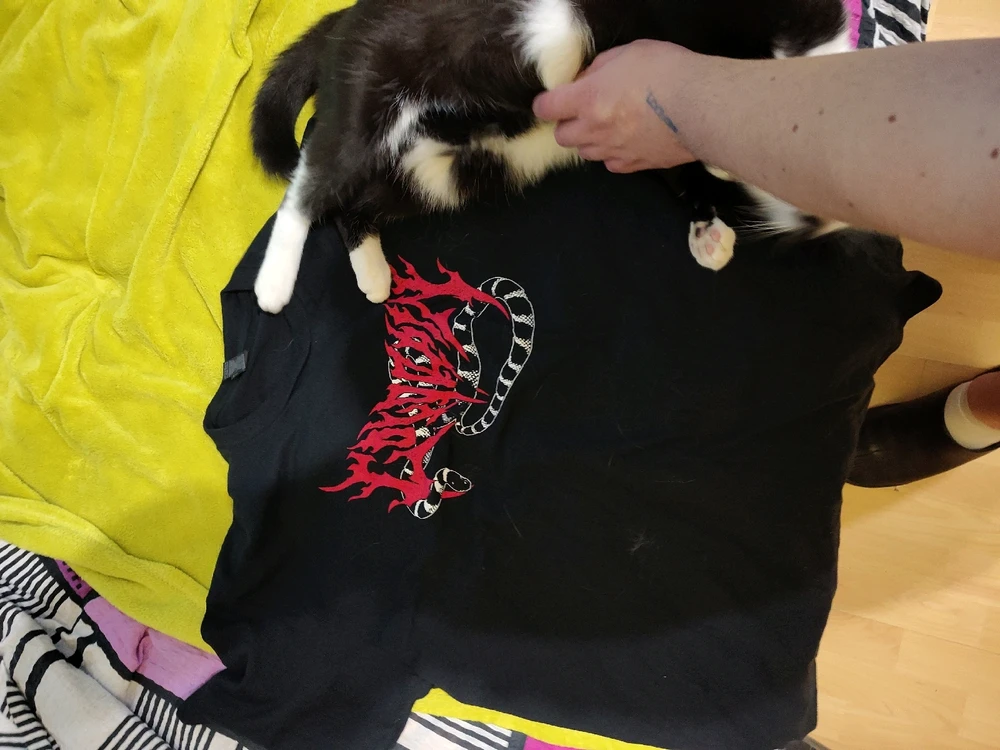 Bild hochgeladen von Dimi