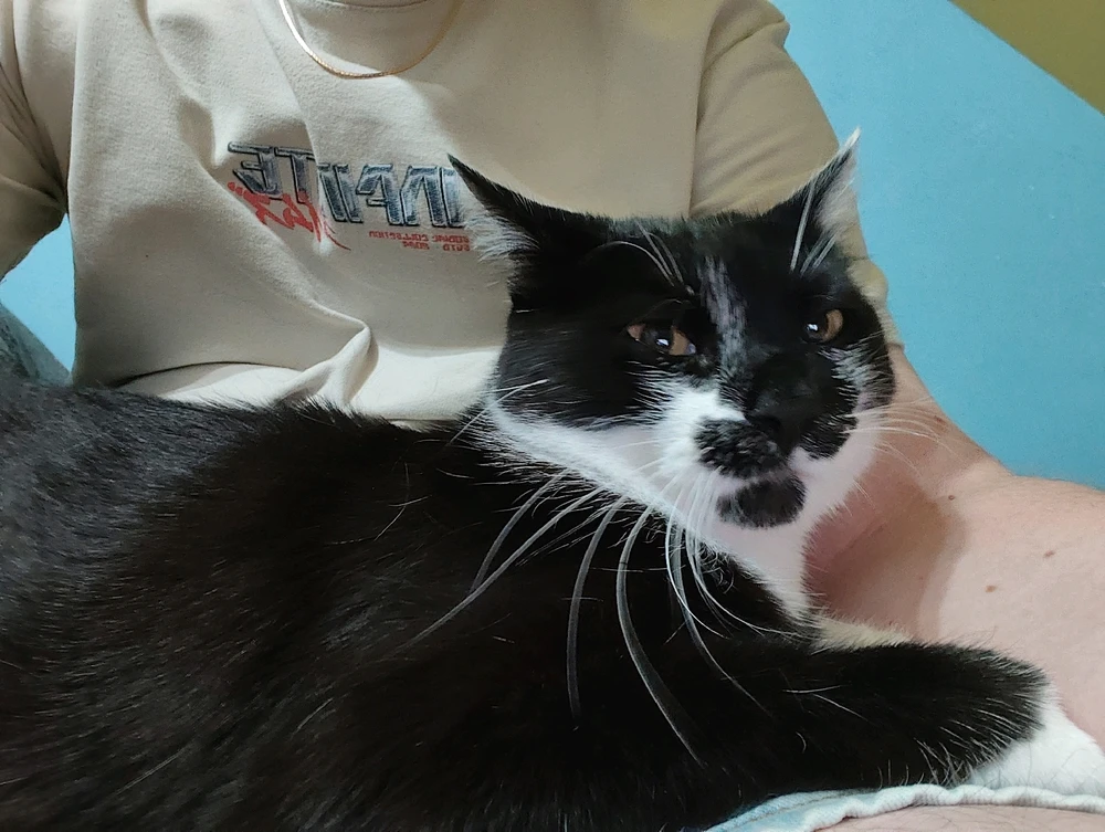 Bild hochgeladen von Dimi