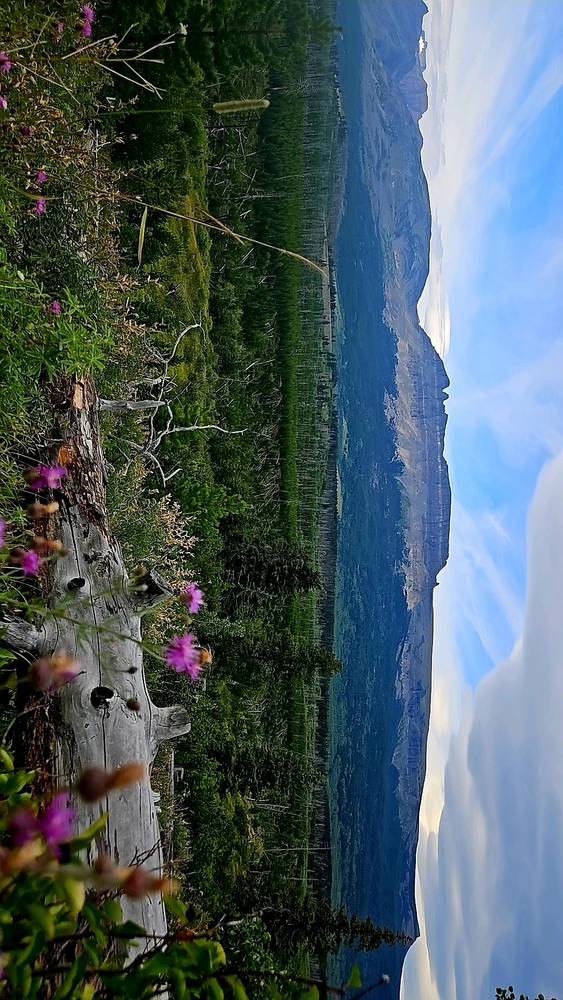 Image uploaded by Alex