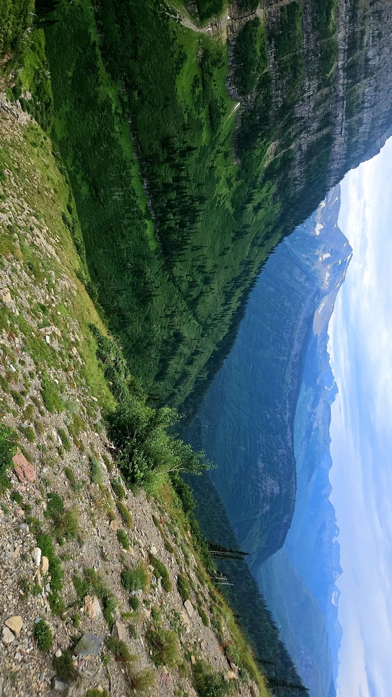 Image uploaded by Alex