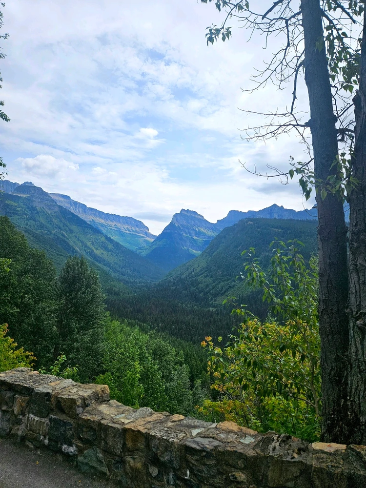 Image uploaded by Alex