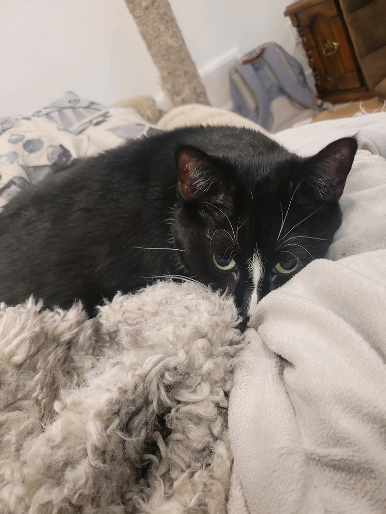 GIF uploaded by Hudson