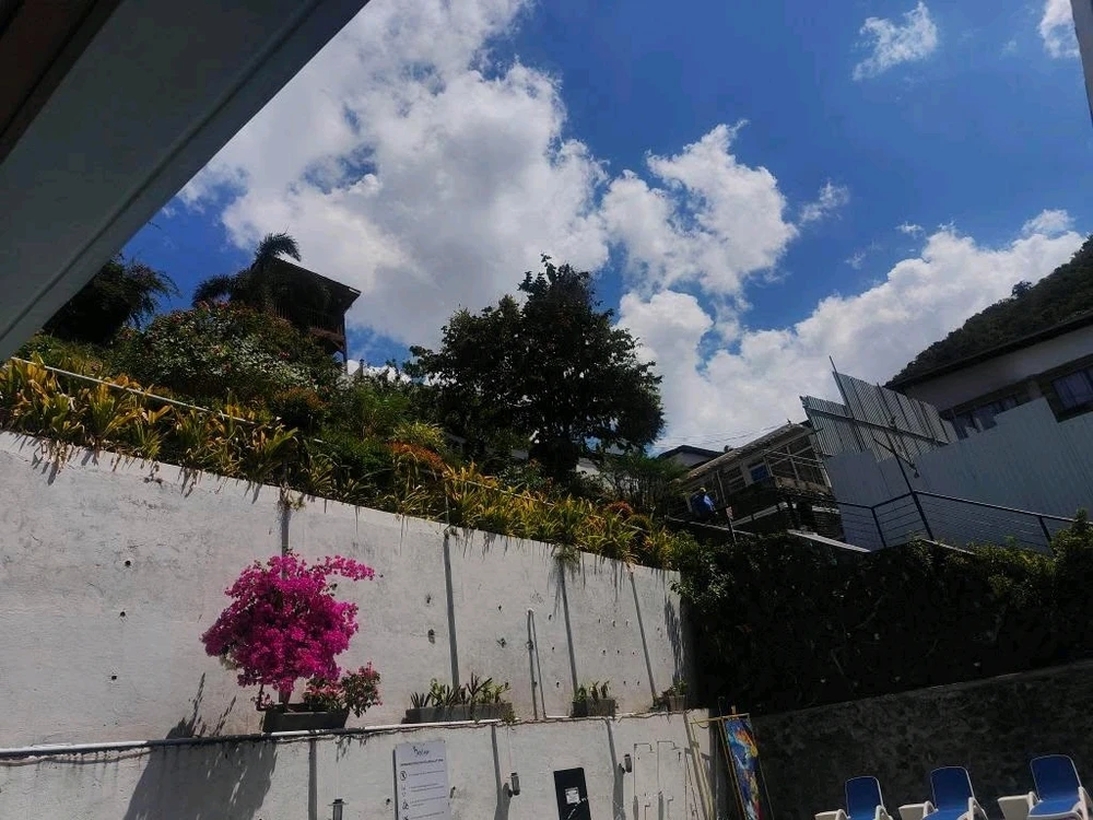 Image uploaded by Teeee