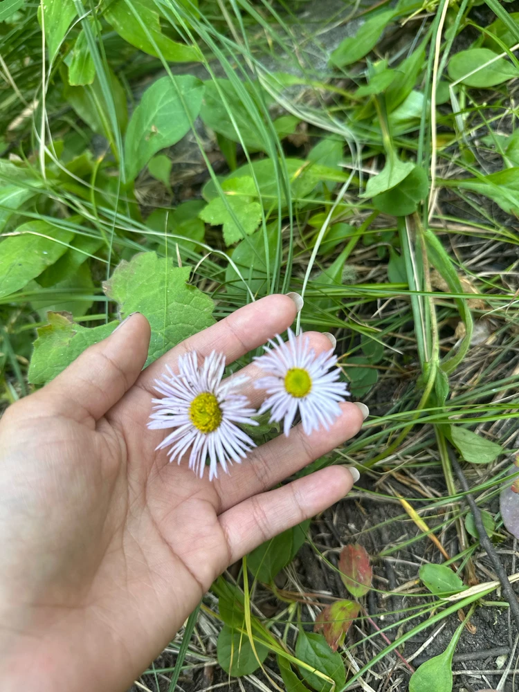 Image uploaded by Anabelle
