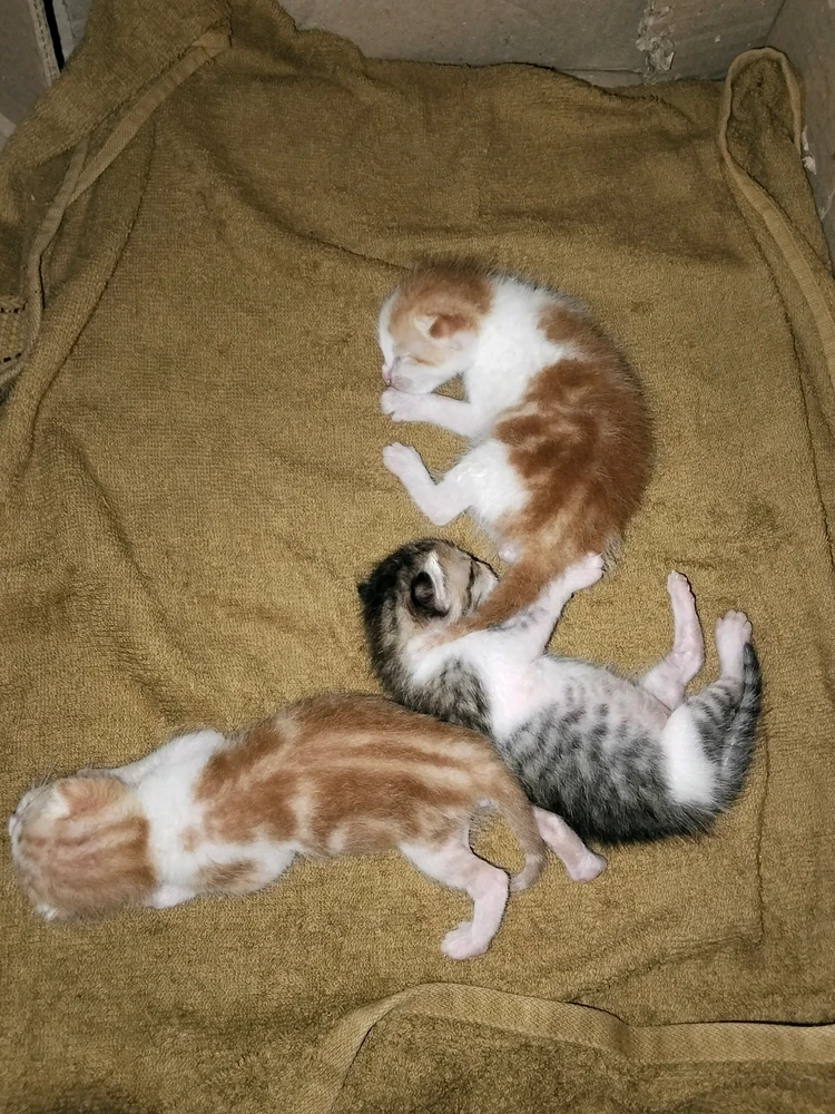 GIF uploaded by ItsMe