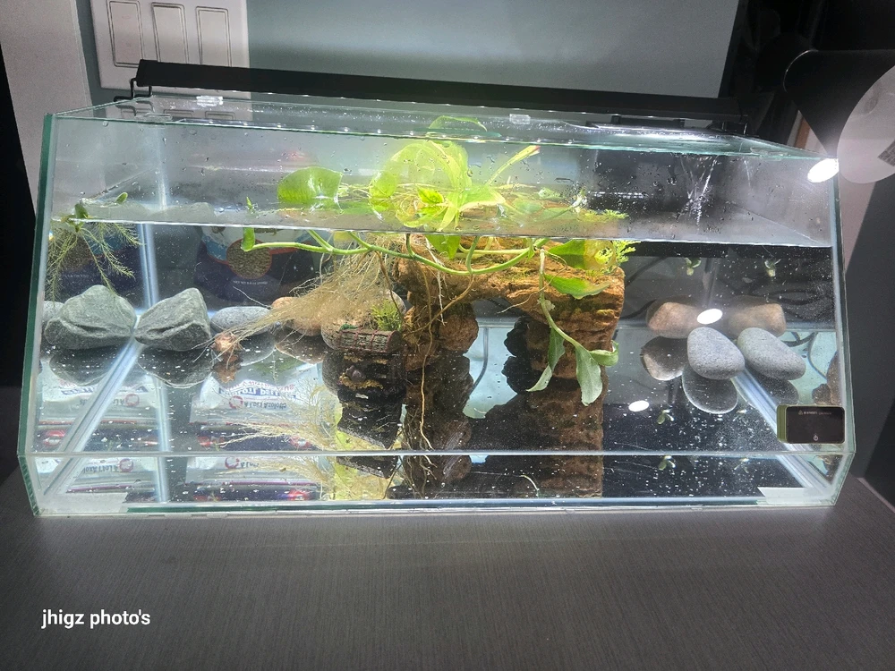 Image uploaded by JM