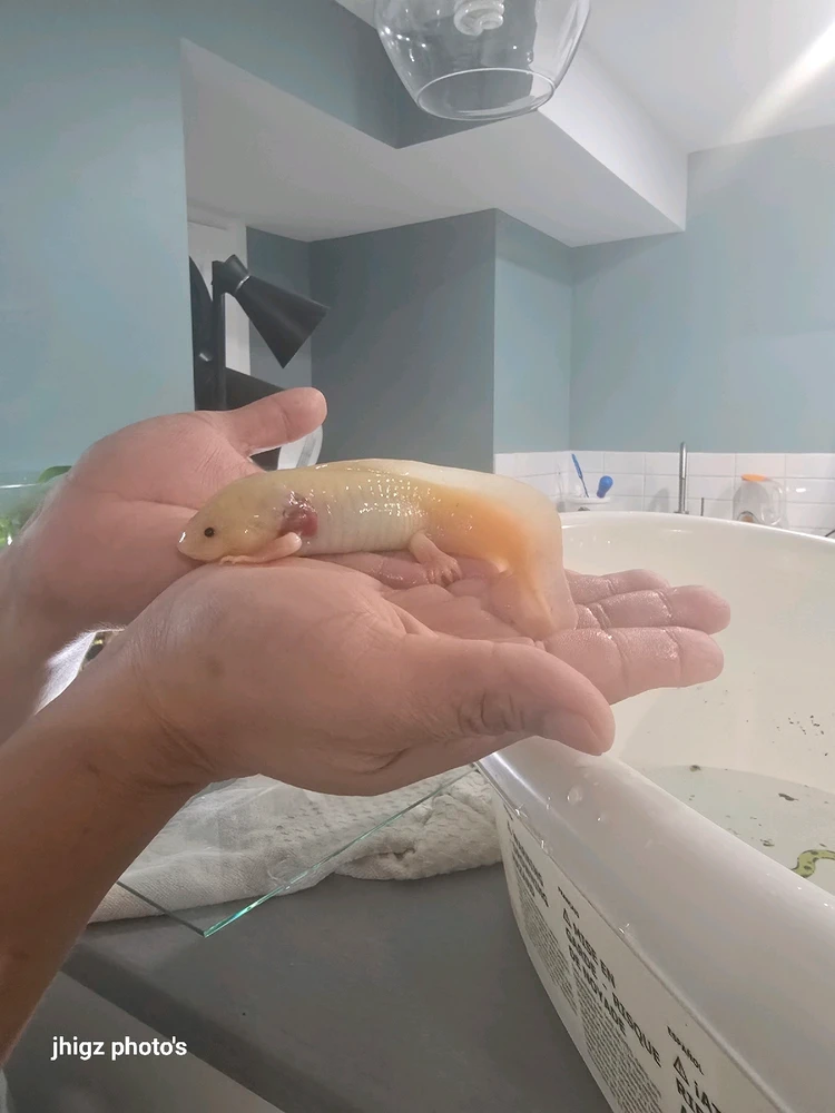 Image uploaded by JM