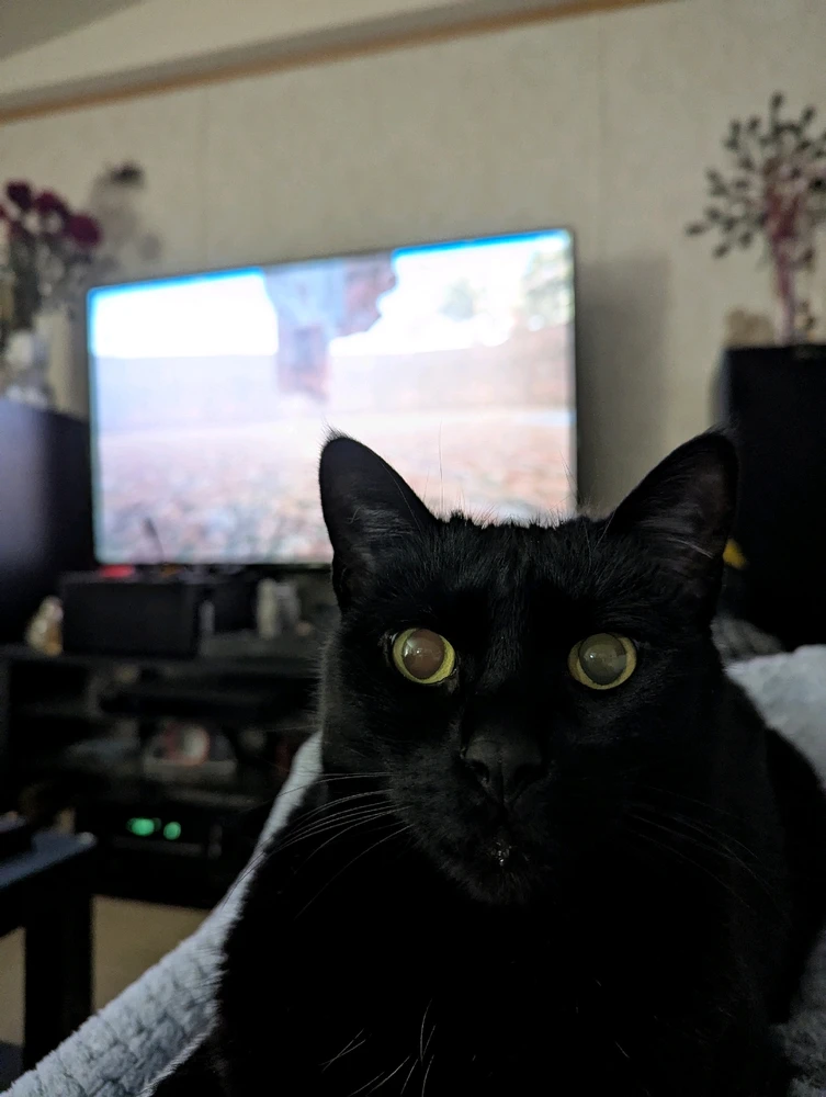 GIF uploaded by Mark