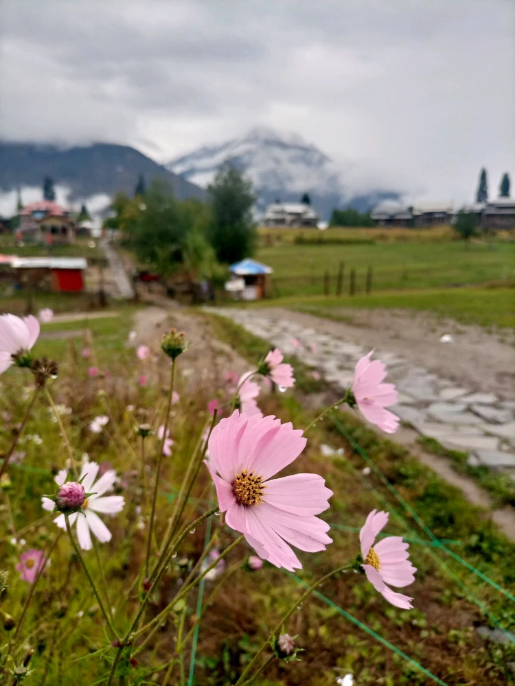 GIF uploaded by Zubair Rathore