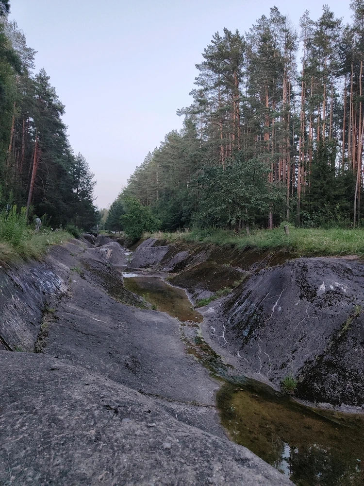 GIF uploaded by Elena
