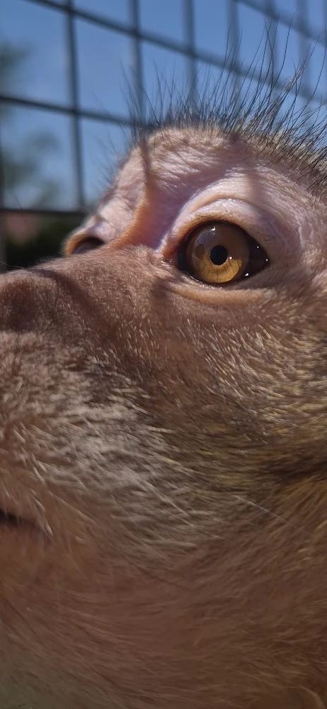 Obrázek nahrál Jirka