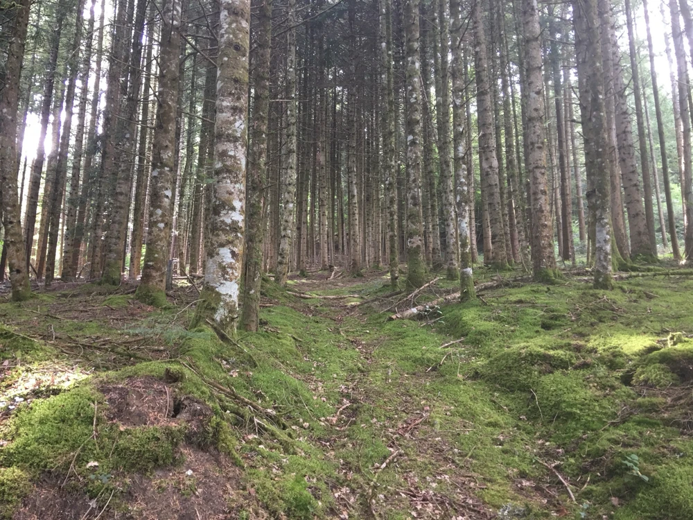 GIF ajouté par Loïc