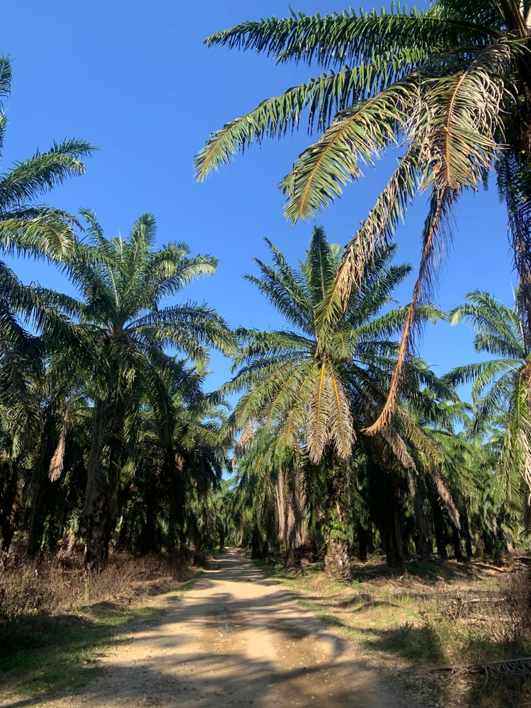 GIF uploaded by Tata