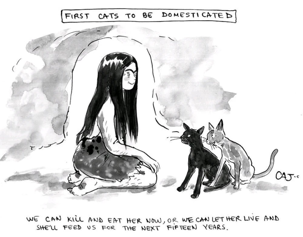 GIF hochgeladen von Doris