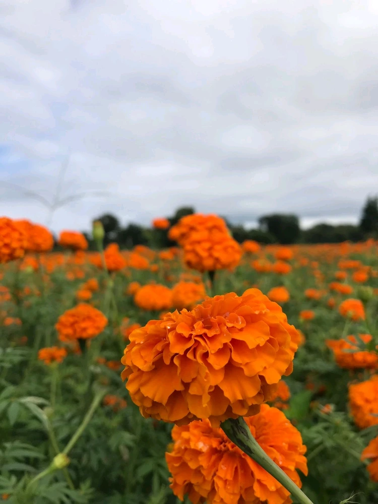 GIF uploaded by Vijesh