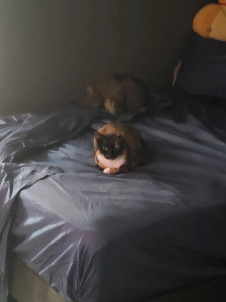 GIF uploaded by Bryan