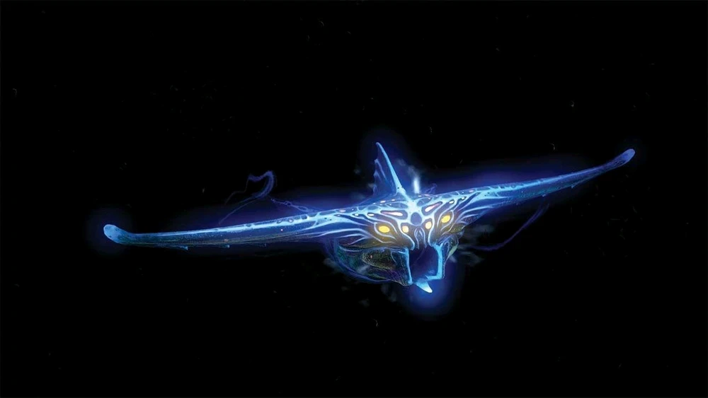 Image uploaded by Dante H.