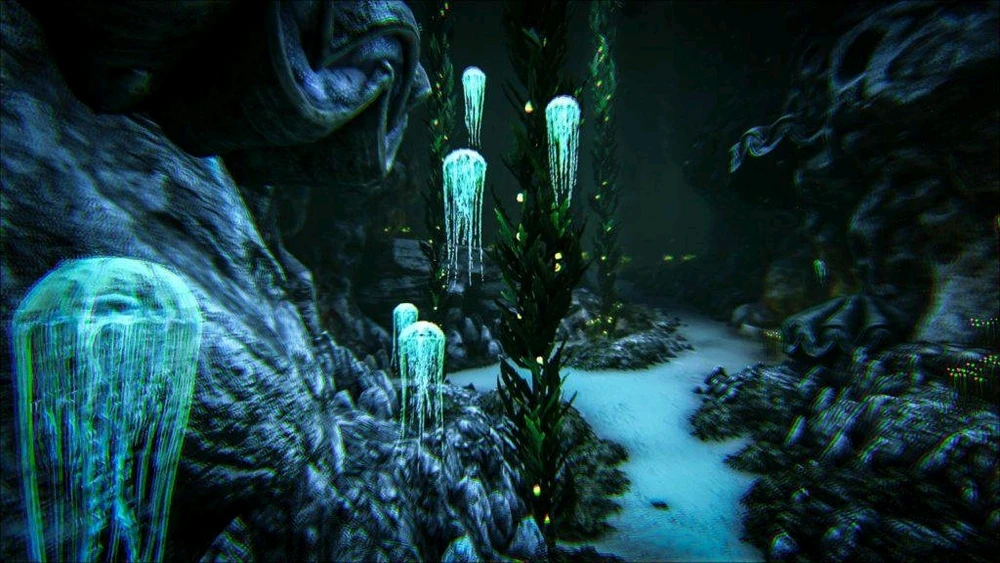 Image uploaded by Dante H.