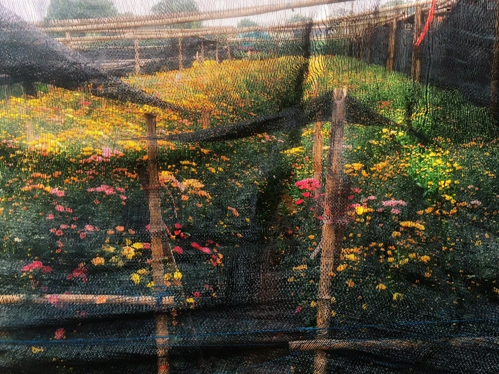 GIF được Boong tải lên