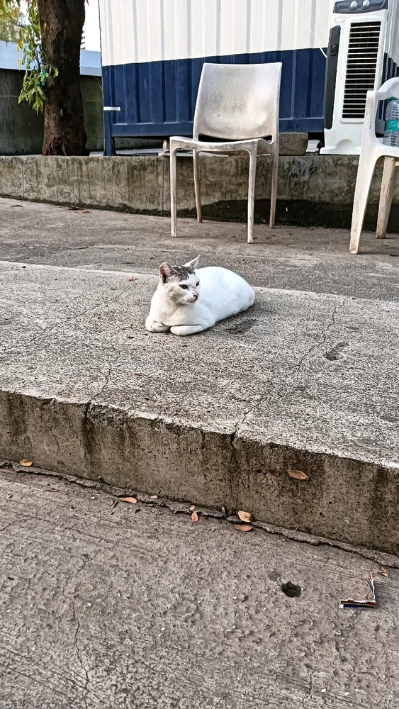 GIF uploaded by Anurag