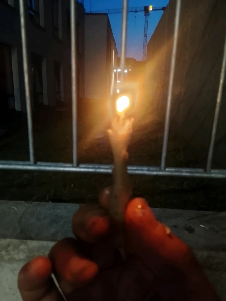 GIF hochgeladen von Diogo