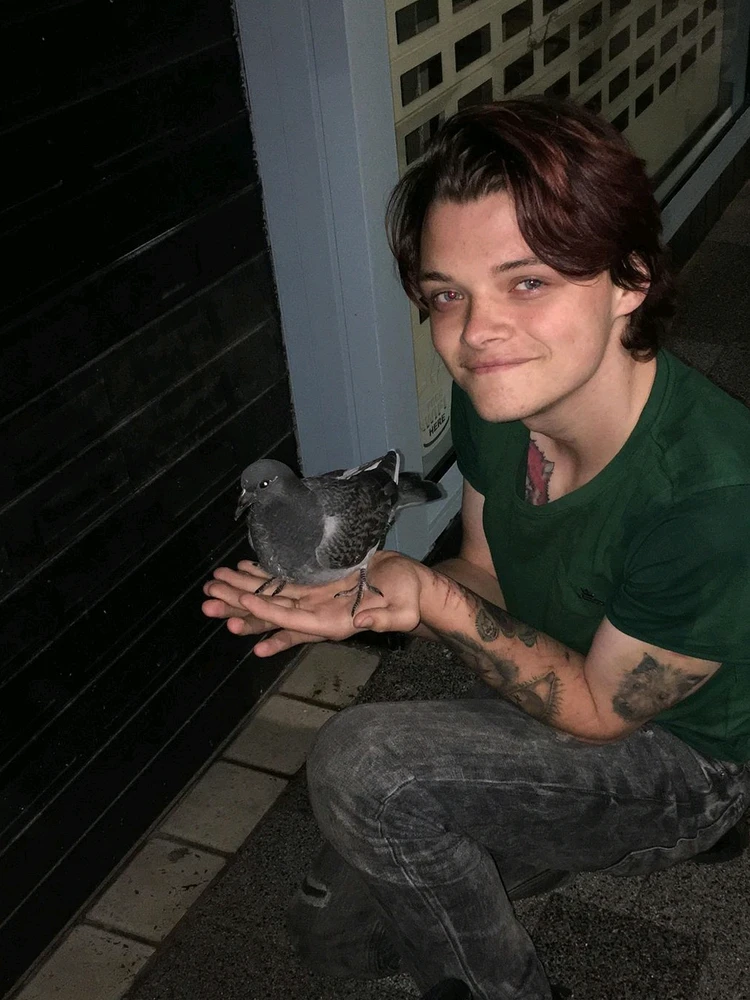 GIF uploaded by Wolfy