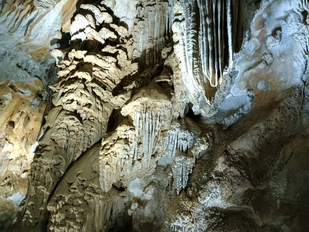 Image uploaded by Dillin