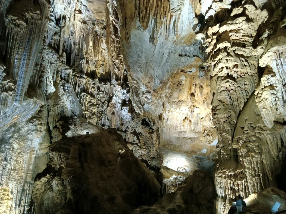 Image uploaded by Dillin