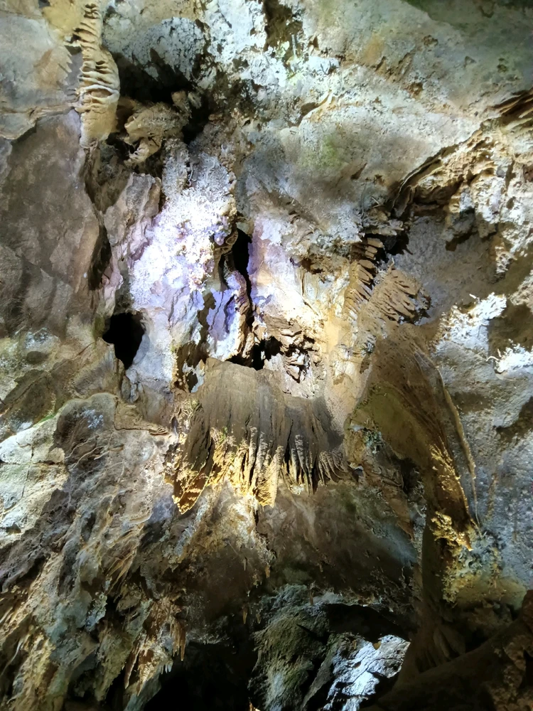 Image uploaded by Dillin