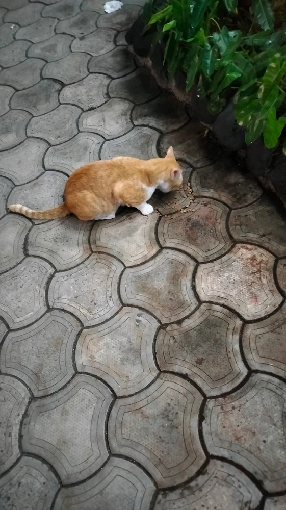 Image uploaded by Archie