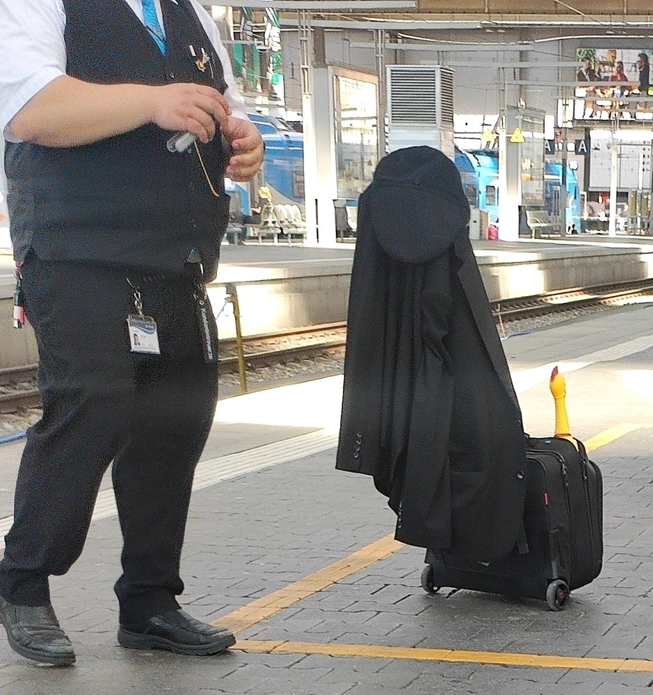 GIF uploaded by Sirius