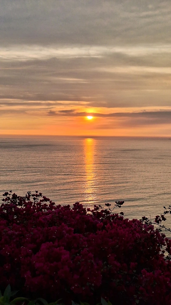 GIF uploaded by Jean Piero Sullón