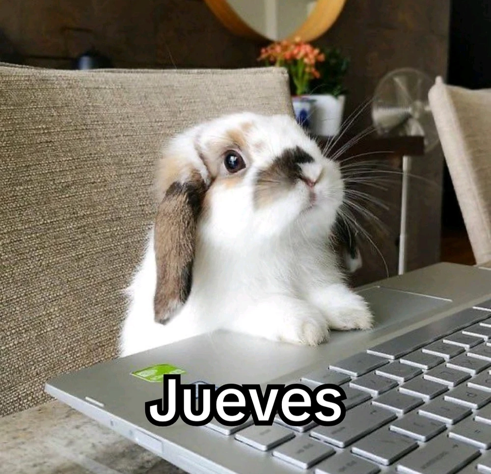 GIF subido por Angeles