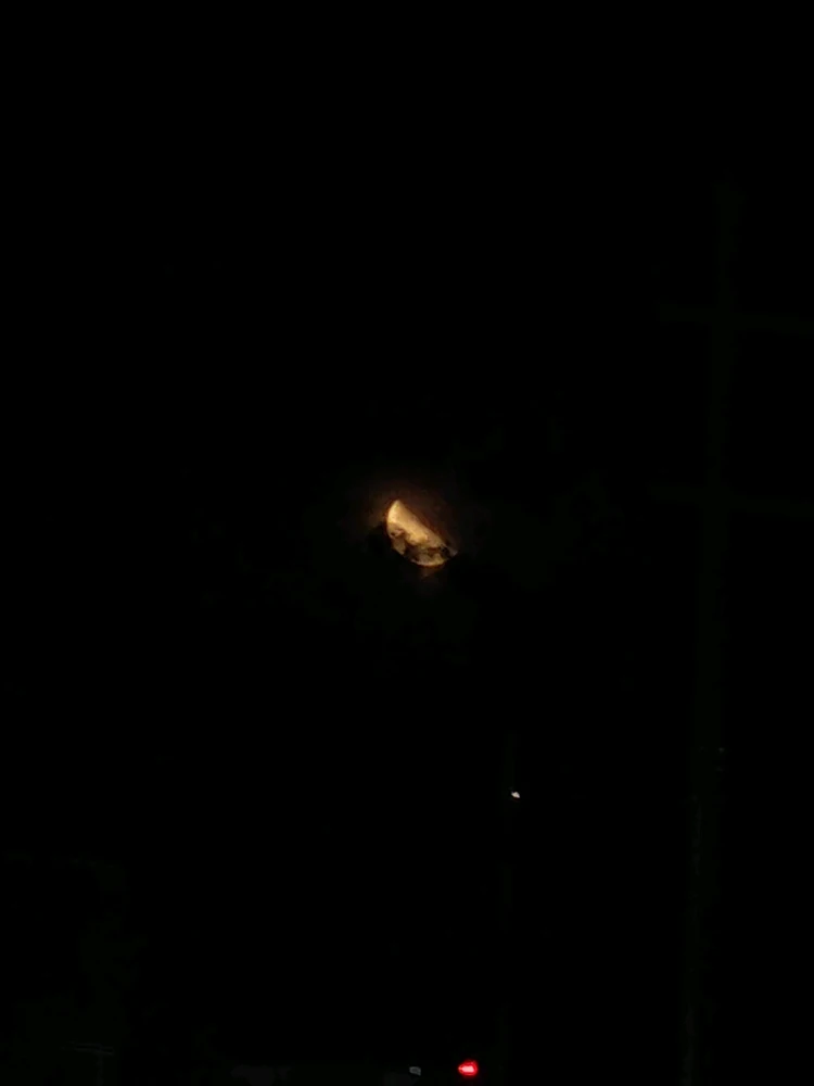 GIF subido por Rabpitt